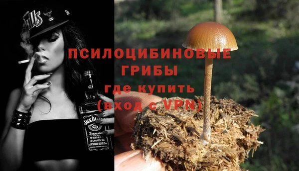 jwh Алзамай