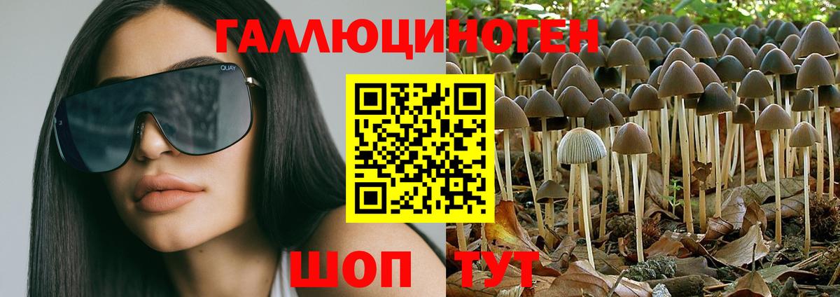 Псилоцибиновые грибы Magic Shrooms  Псилоцибиновые грибы GOLDEN TEACHER  Вход с VPN  Когалым 